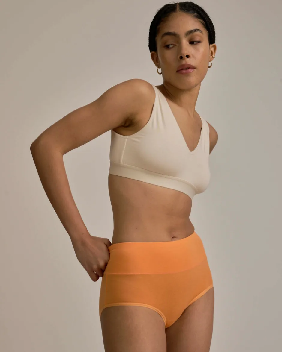 Universal Standard UltimateS Full Coverage High Rise Brief