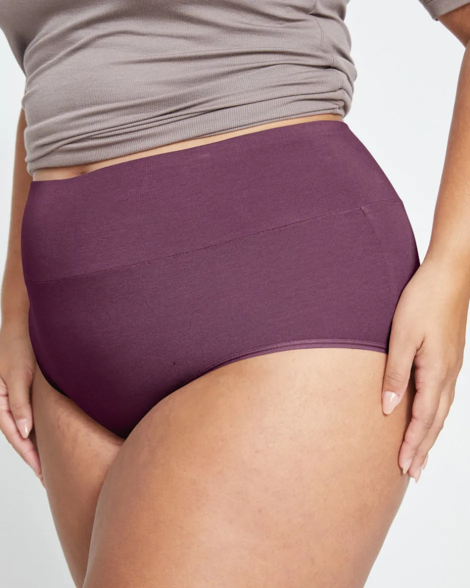 Universal Standard UltimateS Full Coverage High Rise Brief
